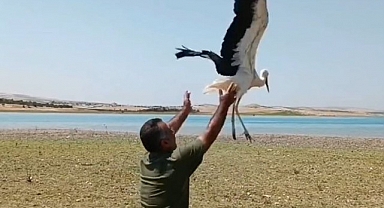Tedavisi biten leylek doğaya bırakıldı