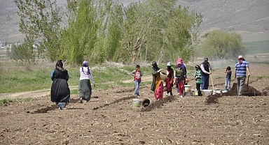 Urfalı mevsimlik tarım işçileri sıcak hava altında çalışıyor