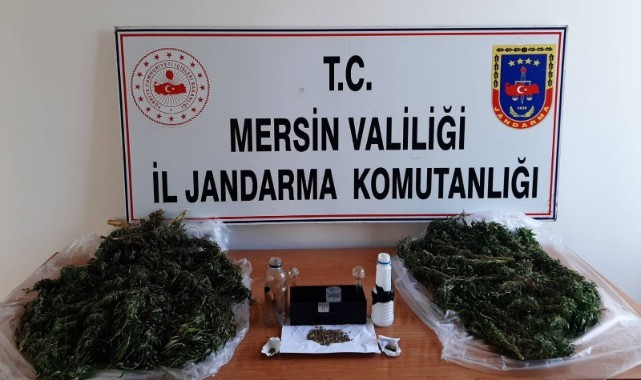 Uyuşturucu madde yetiştiren zanlılar yakalandı