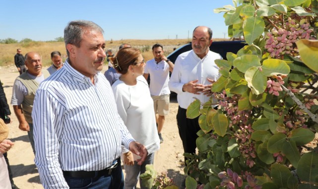 Vali Şıldak’tan Göbeklitepe, Halfeti ve Birecik temasları