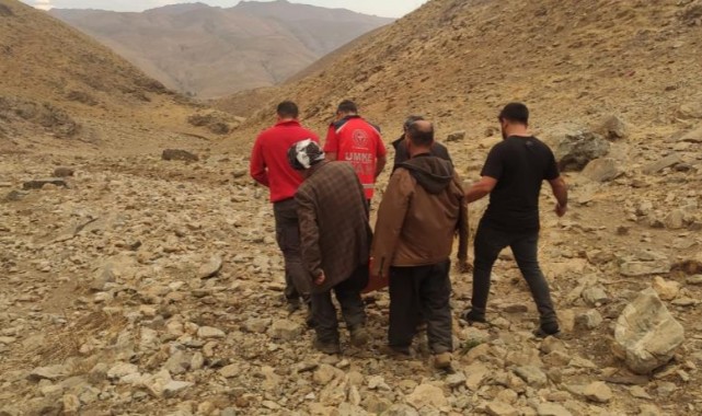 Van’da uzun uğraşlar sonucunda hasta kurtarıldı
