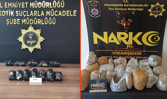 Viranşehir’de 2 araçta 26.600 gram skunk ele geçirildi