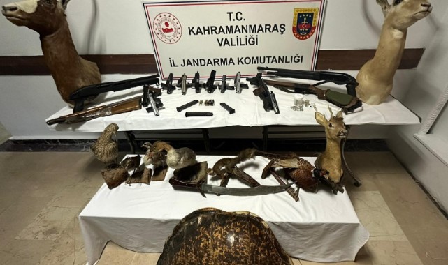 Baskın yapılan evden cephanelik çıktı