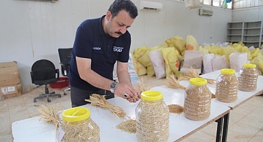 "Çetiner" ve "Ruha 63" arpası ile verim katlanacak