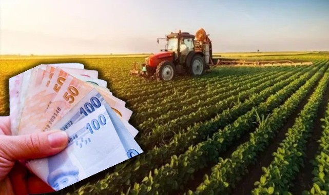 Çiftçilere müjde! Tarımsal destekleme ödemeleri bugün hesaplara yatıyor