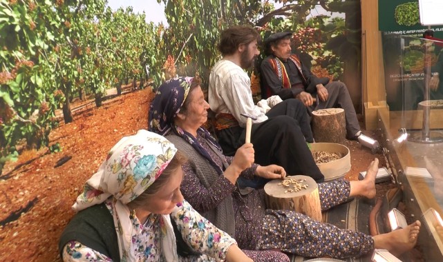 Gaziantep'te Dünyanın ilk ve tek fıstık müzesi