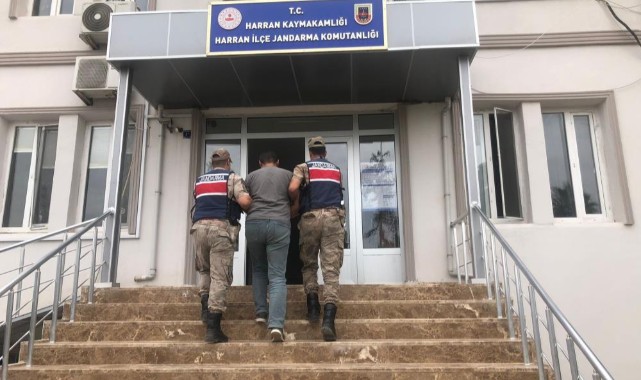 Harran’da jandarma FETÖ üyesini yakaladı