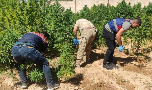 Şanlıurfa'da dev uyuşturucu operasyonu