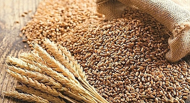 Şanlıurfa'da hububat fiyatları kaç liradan işlem gördü?