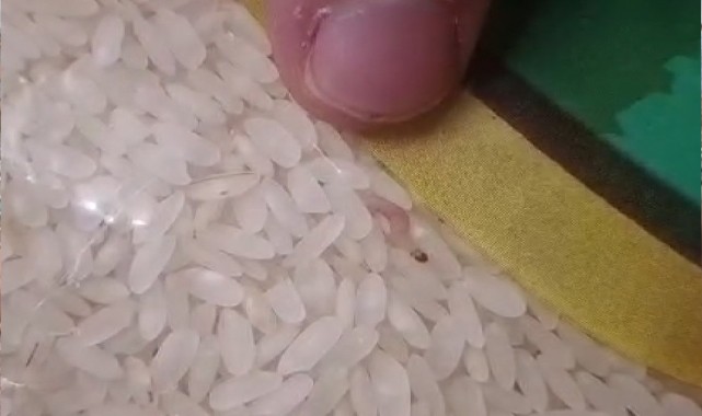 Şanlıurfa'da kurtlanmış pirinçler imha edildi