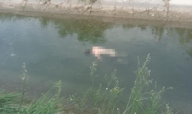 Sulama kanalında kayboldu! Kilometrelerce uzaklıkta bulundu