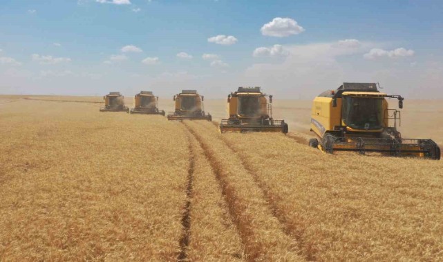 TİGEM işletmeleri bu yıl hasat rekoru kırdı!