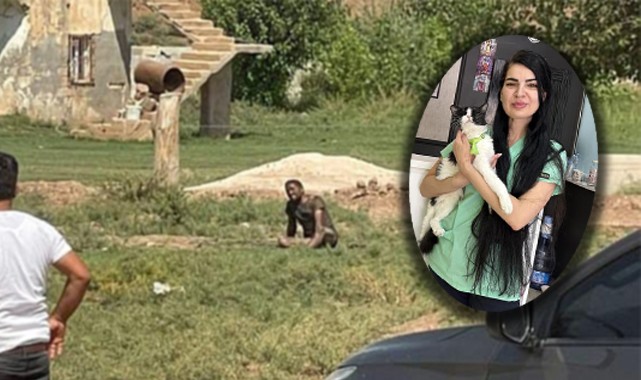 Şanlıurfa'nın etkisiyle Türkiye kuduz vakalarında en riskli ülkeler arasına girdi