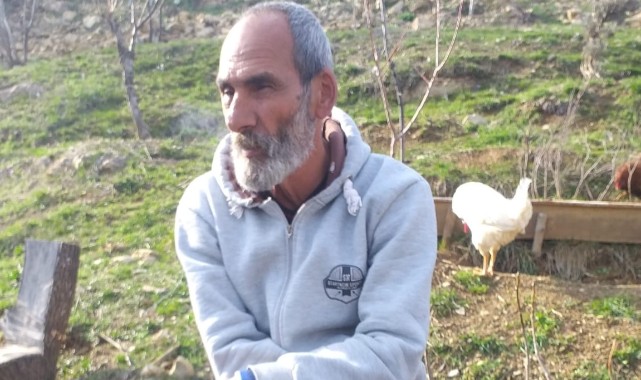 Ağaçtan düşen şahıs hayatını kaybetti