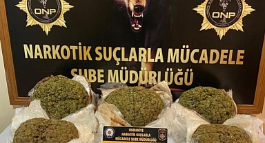 Durdurulan yolcu otobüsünde çok sayıda skunk ele geçirildi