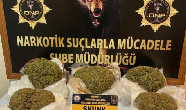 Durdurulan yolcu otobüsünde çok sayıda skunk ele geçirildi