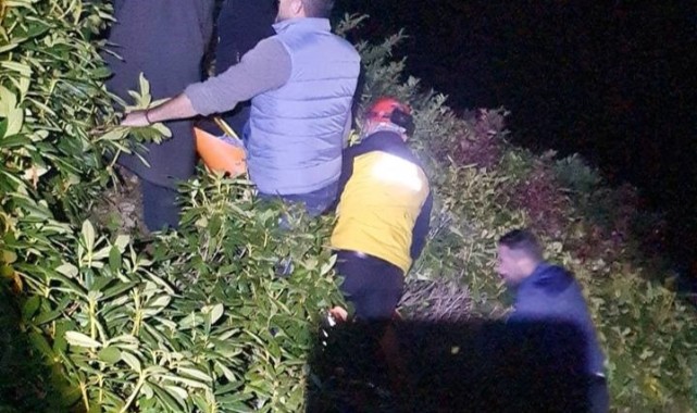 Kamyonet uçuruma yuvarlandı: 3 yaralı