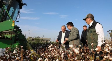 Kaymakam Koç pamuk hasadına katıldı
