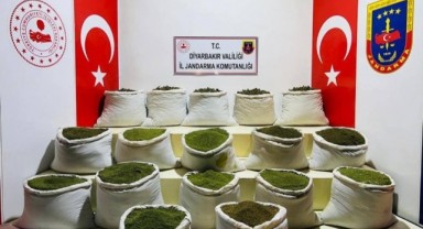 Kilolarca esrar ve binlerce uyuşturucu bitkisi ele geçirildi