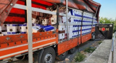 Konya'da çok sayıda doldurulmuş sigara ve makaron yakalandı