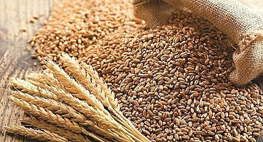 Kütlü pamuk, buğday ve mısır Urfa'da kaç liradan satıldı?