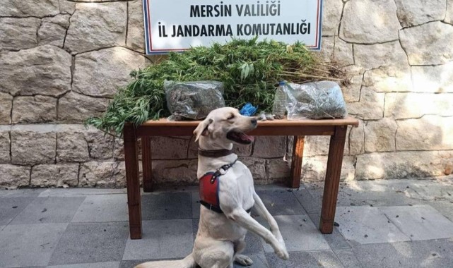 Mersin'de uyuşturucu operasyonu: gözaltılar var