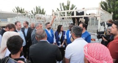 Şanlıurfa’da 30 aileye büyükbaş hayvan desteği
