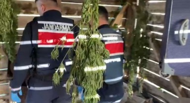 Serentiyi uyuşturucu imalathanesine çevirmiş