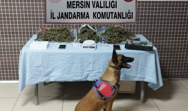 Uyuşturucu operasyonu: çok sayıda gözaltı