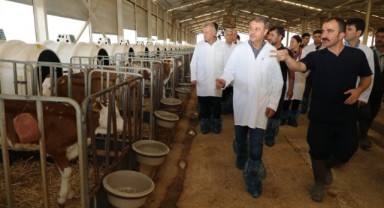 Vali Şıldak dünyanın en büyük çiftliğini inceledi