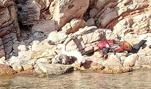 Bodrum’da karaya vurulmuş ceset bulundu