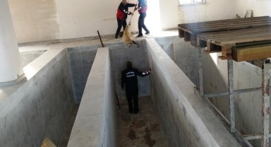 Bozova'da köpek kano havuzuna düştü!