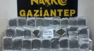 Gaziantep’te kilolarca skunk ele geçirildi: tutuklamalar var