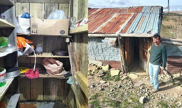 Giresun’da aç kalan ayılar yayla evlerine dadandı