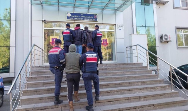 Jandarma kilolarca zeytin çalan 3 şüpheli yakalandı