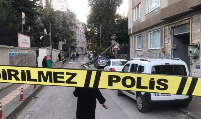 Lodos yıkıma neden oldu! Çevreye zarar verdi