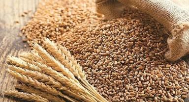 Şanlıurfa'da hububat kaç liradan satıldı?