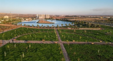 Şanlıurfa’da ilk kez tıbbi aromatik park yapıldı