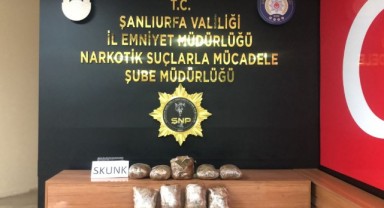 Şanlıurfa'da uyuşturucu operasyonu! 1 gözaltı