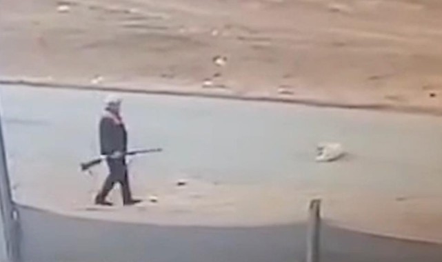 Sokak köpeğini av tüfeğiyle öldürdü