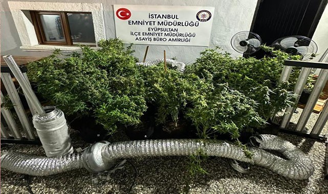 Uyuşturucu tacirleri polisten kaçamadı: çok sayıda gözaltı