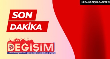 Yakalanan 24 şahıstan 10’u tutuklandı