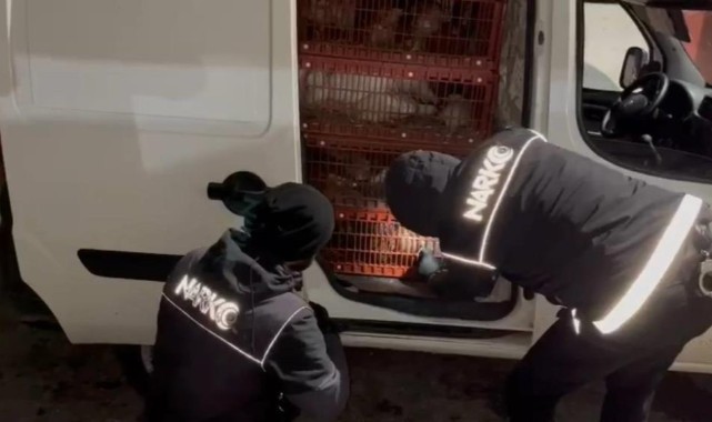 Canlı tavuk taşıyan araçta kilolarca uyuşturucu ele geçirildi
