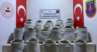 Diyarbakır’da esrar ve kenevir bitkisi ele geçirildi