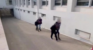 Küçükbaş hayvan yüklü tırın kasasından ‘skunk’ ele geçirildi