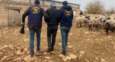 Mardin’de 2 aydır aranan cezaevi firarisi yakalandı