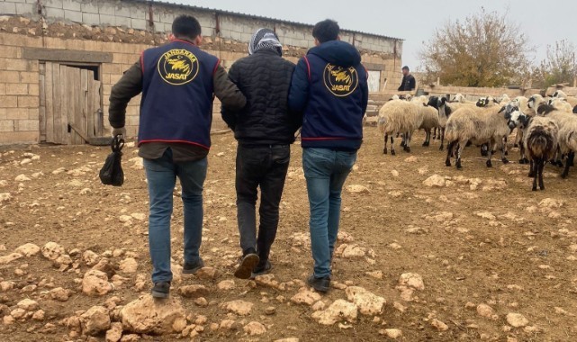 Mardin’de 2 aydır aranan cezaevi firarisi yakalandı