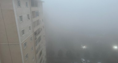 Şanlıurfa'da sis ve yağmur etkili oluyor