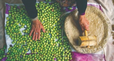 Zeytin yetiştiriciliği UNESCO listesine girdi