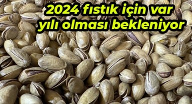 2023'te kaç milyon dolar fıstık ihraç edildi?